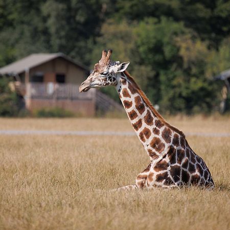 Отель Knuthenborg Safaripark Марибо Экстерьер фото