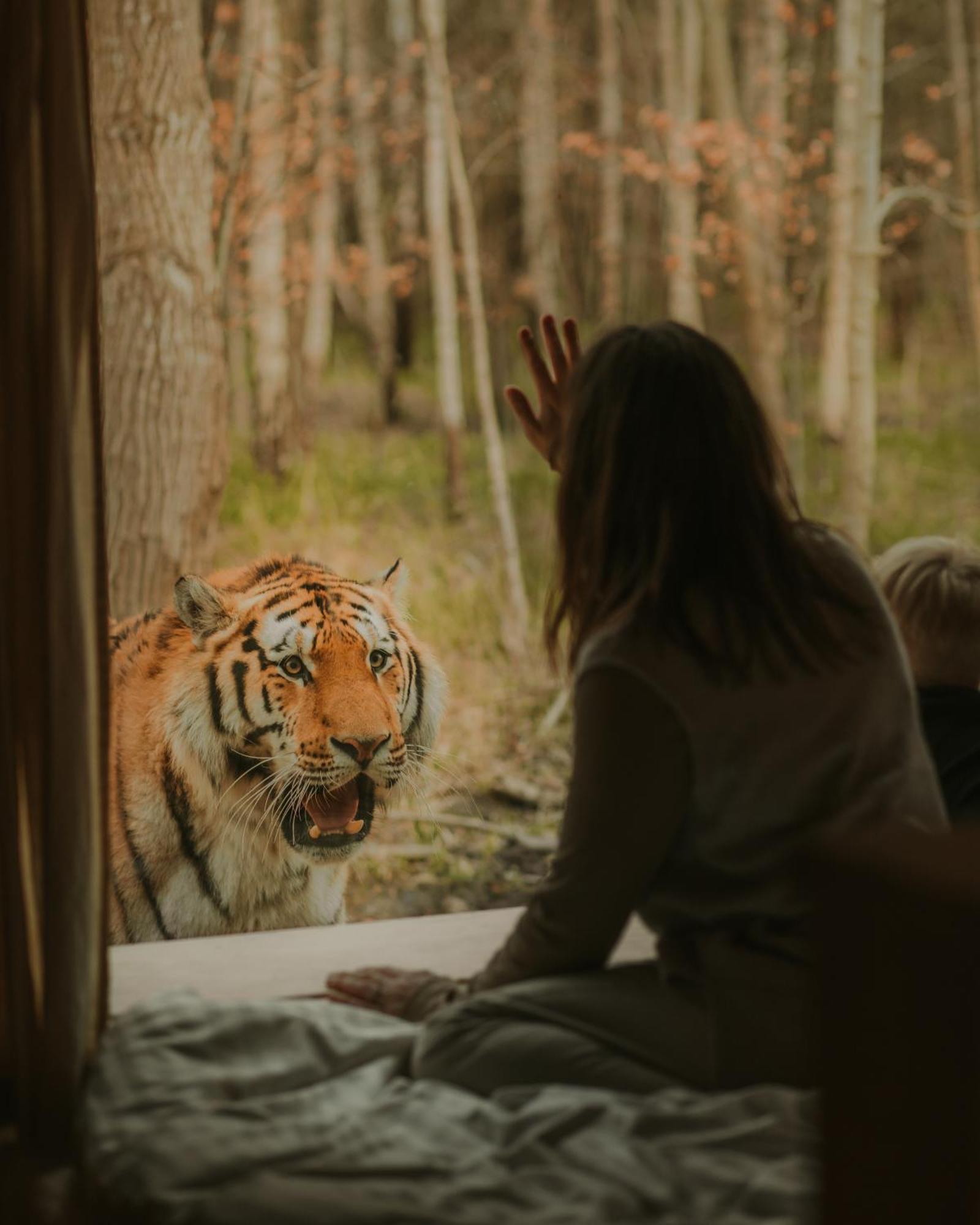 Отель Knuthenborg Safaripark Марибо Экстерьер фото