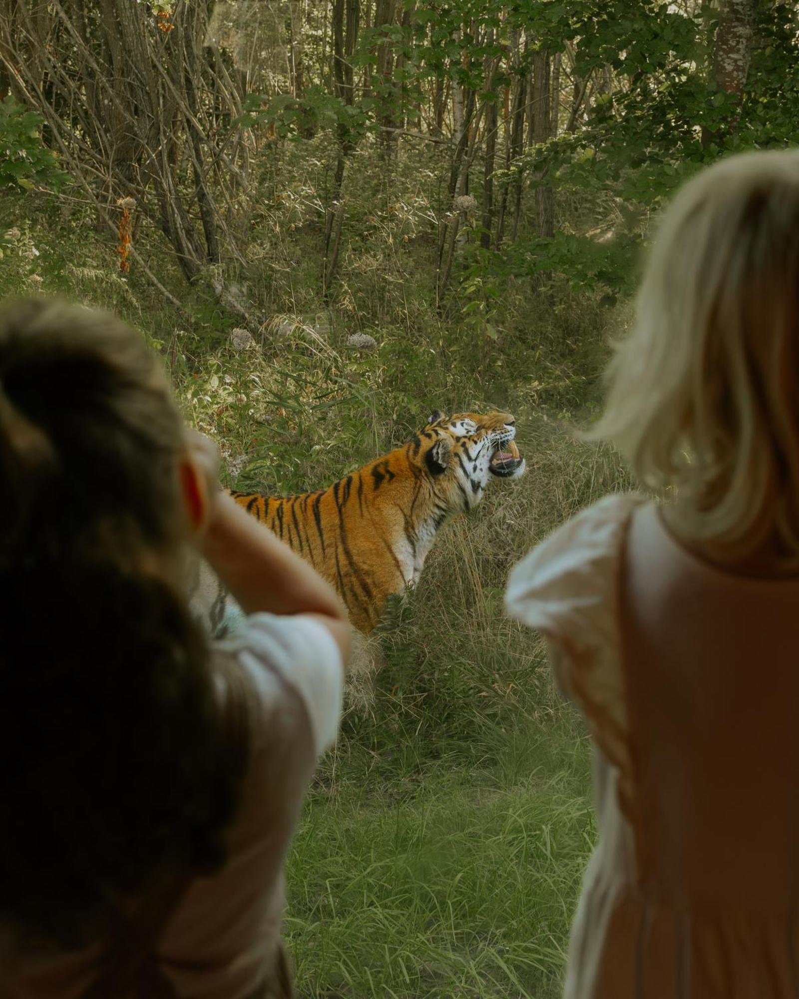 Отель Knuthenborg Safaripark Марибо Экстерьер фото