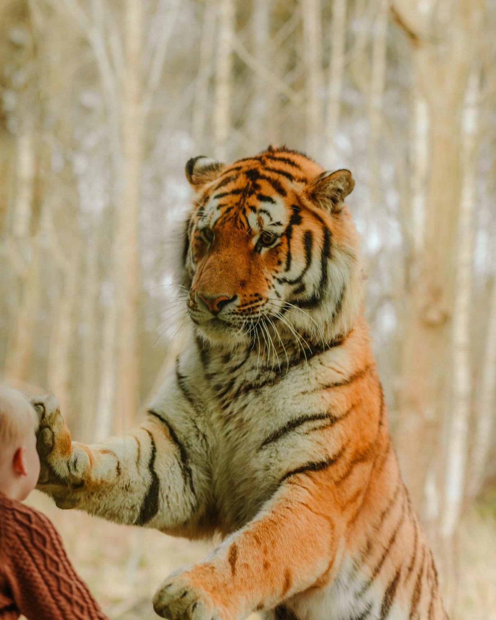 Отель Knuthenborg Safaripark Марибо Экстерьер фото
