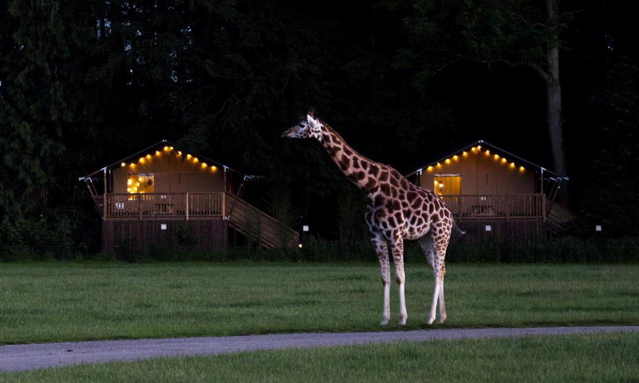 Отель Knuthenborg Safaripark Марибо Экстерьер фото