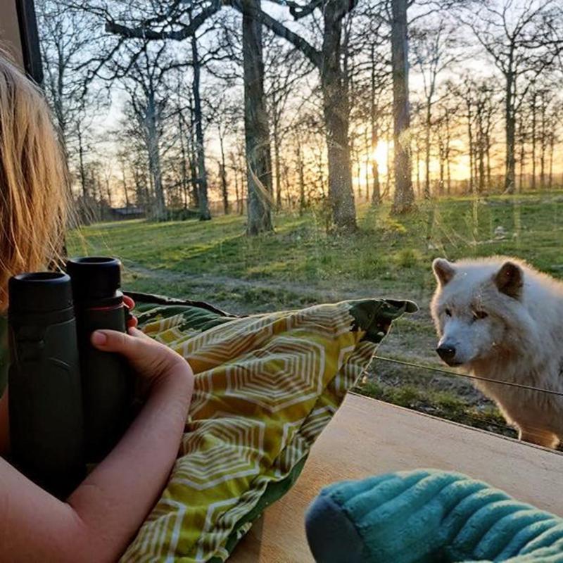 Отель Knuthenborg Safaripark Марибо Экстерьер фото